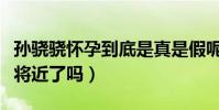 孫驍驍懷孕到底是真是假呢(難道她們真的事將近了嗎)
