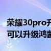 榮耀30pro升級鴻蒙系統怎么樣（榮耀30pro可以升級鴻蒙系統嗎）
