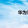 華為榮耀4x（華為榮耀4x）