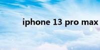 iphone 13 pro max(iphone)