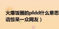 火爆飯圈的pldd什么意思(新型流行網絡用語驚呆一眾網友)