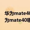 華為mate40和mix4哪個好（小米mix4和華為mate40哪個好）