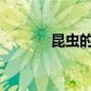 昆蟲的故事是什么 作者是誰？