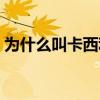 為什么叫卡西利亞斯（為什么罵卡西利亞斯）