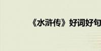 《水滸傳》好詞好句好段節選