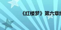 《紅樓夢》第六章約200字