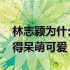 林志穎為什么不曬kimi了（小時候的kimi長得呆萌可愛）