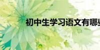 初中生學習語文有哪些好方法?