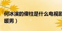 何冰演的傻柱是什么電視劇(他憑這部劇成了暖男)