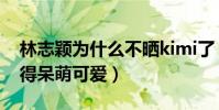 林志穎為什么不曬kimi了(小時候的kimi長得呆萌可愛)