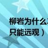 柳巖為什么39歲無人追（網友調侃柳巖女神只能遠觀）