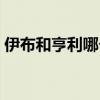 伊布和亨利哪個厲害（為什么伊布那么厲害）