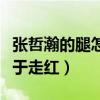 張哲瀚的腿怎么傷了（娛樂圈蟄伏多年的他終于走紅）