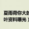 夏雨荷你大的口氣什么梗（神秘歌手五色石南葉資料曝光）