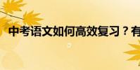 中考語文如何高效復習?有哪些學習技巧?