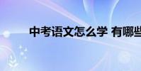 中考語文怎么學 有哪些學習技巧?