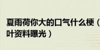 夏雨荷你大的口氣什么梗(神秘歌手五色石南葉資料曝光)
