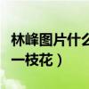 林峰圖片什么時候看都帥（完美驗證男人四十一枝花）