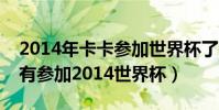 2014年卡卡參加世界杯了嗎(卡卡為什么沒有參加2014世界杯)