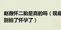 趙薇懷二胎是真的嗎(現身機場肚子凸助理說別拍了懷孕了)