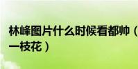 林峰圖片什么時候看都帥(完美驗證男人四十一枝花)