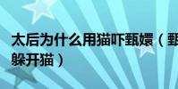 太后為什么用貓嚇甄嬛(甄嬛不想入宮為何不躲開貓)