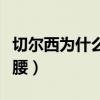 切爾西為什么戴坦克帽（切爾西為什么喜歡獸腰）