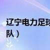 遼寧電力足球隊（為什么只有山東電力有足球隊）