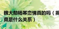 魏大勛楊冪戀情真的嗎(揭秘魏大勛和楊冪究竟是什么關系)