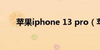 蘋果iphone 13 pro(蘋果iphone)