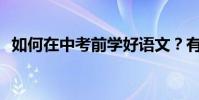 如何在中考前學好語文?有哪些學習方法?
