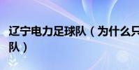 遼寧電力足球隊(為什么只有山東電力有足球隊)
