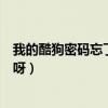 我的酷狗密碼忘了怎么找回來（酷狗登陸密碼忘記怎么找回呀）