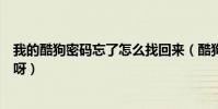 我的酷狗密碼忘了怎么找回來(酷狗登陸密碼忘記怎么找回呀)