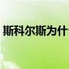 斯科爾斯為什么叫生姜頭（為什么叫生姜頭）
