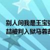 別人問我是王寶強還是宋喆（宋喆是怎么被發現的　為啥宋喆被判入獄馬蓉卻相安無事）