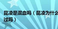 昆凌是混血嗎(昆凌為什么是三國混血她整容過嗎)