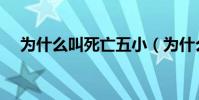 為什么叫死亡五小(為什么叫死亡五小)