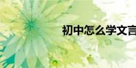 初中怎么學文言文?