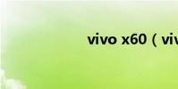 vivo x60(vivo)