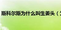 斯科爾斯為什么叫生姜頭(為什么叫生姜頭)
