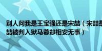 別人問我是王寶強還是宋喆(宋喆是怎么被發現的 為啥宋喆被判入獄馬蓉卻相安無事)