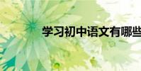 學習初中語文有哪些好方法?