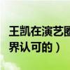 王凱在演藝圈是什么地位（王凱是如何獲得外界認可的）