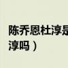 陳喬恩杜淳是真的嗎（陳喬恩懷孕了老公是杜淳嗎）