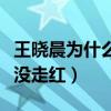 王曉晨為什么會哭（實力出眾的她搭檔胡歌也沒走紅）