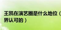 王凱在演藝圈是什么地位(王凱是如何獲得外界認可的)