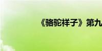 《駱駝祥子》第九章總結