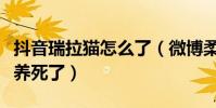 抖音瑞拉貓怎么了(微博柔柔要早睡快把它給養死了)
