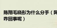 陳翔毛曉彤為什么分手(網曝二人分手有內幕咋回事呢)